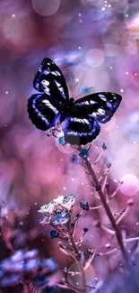 Vibrant butterfly on purple flowers mobile wallpaper.