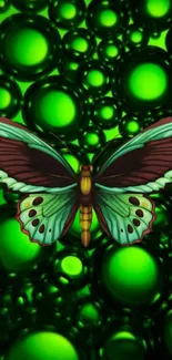 Green mobile wallpaper with butterfly and bubbles pattern.