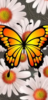 Vibrant butterfly and daisies wallpaper design.