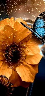 Blue butterfly perched on orange flower wallpaper.