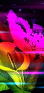 Vibrant butterfly resting on a colorful flower, set against a dark background.