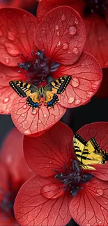 Vibrant red flowers with colorful butterflies resting on petals.