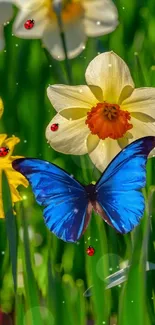 Blue butterfly on flowers amid greenery with ladybugs.