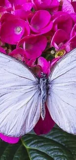 White butterfly on pink flowers mobile wallpaper.