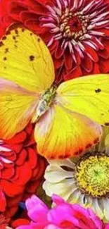 Bright yellow butterfly on colorful flowers wallpaper.