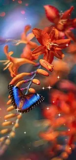 Blue butterfly on vivid orange flowers with dreamy background.