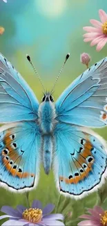 Blue butterfly on colorful flower background.