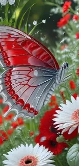 Red butterfly perched on vibrant flowers.