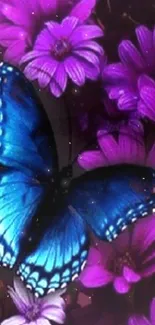 Blue butterfly on purple flowers wallpaper for phones.