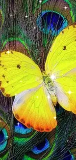 Yellow butterfly on peacock feathers wallpaper.