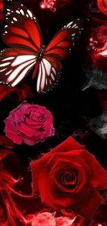 Beautiful red butterfly and roses with dark abstract background.