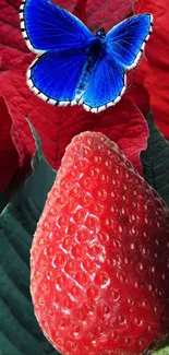 Blue butterfly on red strawberry with green leaf background.