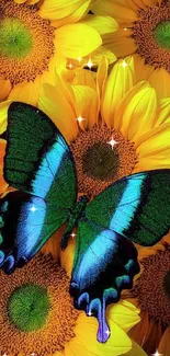 Blue butterfly on yellow sunflower background mobile wallpaper.