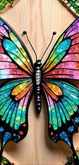 Colorful butterfly on decorative background.