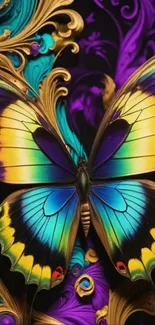 Colorful butterfly artwork with vibrant hues and intricate details.