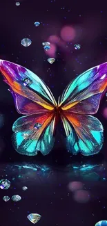 Vibrantly colored butterfly on a dark, mystical backdrop.