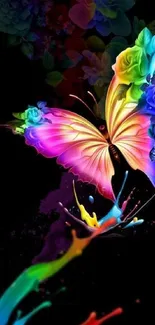 Colorful butterfly with paint splash on black background.
