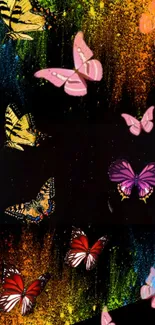 Vibrant multicolor butterfly wallpaper with artistic design.