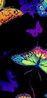 Vibrant neon butterflies on black background.