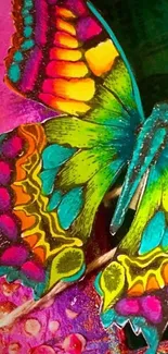 Vibrant, colorful butterfly artwork for mobile wallpaper.