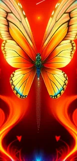 Vibrant butterfly with glowing red and orange hues, set against a dark background.