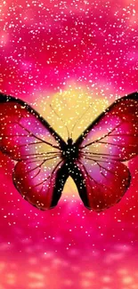 Vibrant butterfly on pink gradient background.