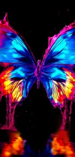 Vibrant butterfly artwork with electric colors on a black background.