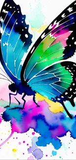 Vibrant butterfly with watercolor splash art wallpaper.