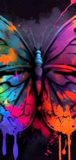 Colorful butterfly art on black background wallpaper.