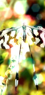 Vibrant butterfly with colorful bokeh background on phone wallpaper.