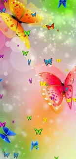 Colorful butterfly mobile wallpaper with vivid hues.