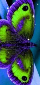 Vibrant purple and green butterfly in stunning design.