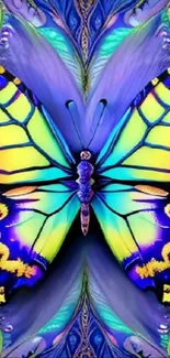 Colorful butterfly with vibrant blue wings on mobile wallpaper.