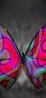 Vibrant butterfly mobile phone wallpaper with pink hues.