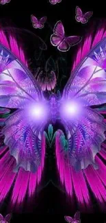 Vibrant purple butterfly wallpaper with glowing wings on a dark background.