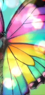 Vibrant rainbow-colored butterfly art wallpaper with intricate patterns.