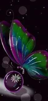 Vibrant butterfly with purple and green wings on a dark background.