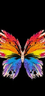 Colorful butterfly on black background wallpaper.