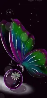 Bright butterfly with vibrant wings hovering over a flower orb on a dark background.