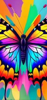 Vibrant butterfly artwork with colorful backdrop.