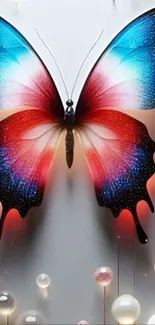 Vibrant abstract butterfly with vivid red and blue colors.