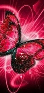 Vibrant pink and black butterfly with bright neon streaks background.