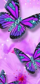 Vibrant purple and blue butterflies on pink flowers.