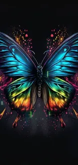 Vibrant butterfly with colorful wings on a dark background.