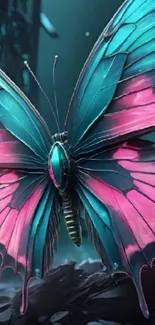 Vibrant butterfly design with blue and pink wings, perfect for mobile wallpaper.