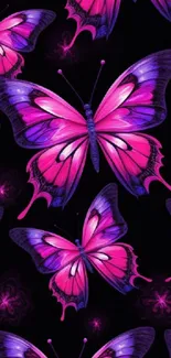 Vibrant pink and purple butterfly artwork on a dark background.