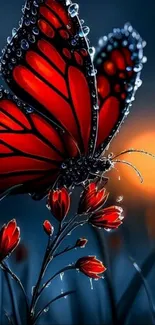 Red butterfly on flowers at sunset.