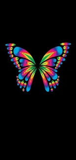 Colorful butterfly on black wallpaper, vibrant and artistic.