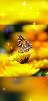 A butterfly on yellow flowers with sparkling stars.