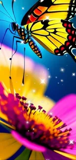 Colorful butterfly on a vibrant flower wallpaper.